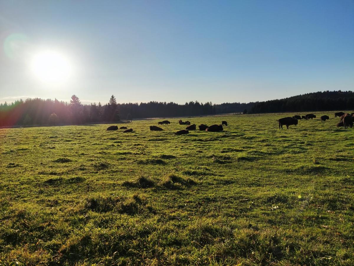 Matějovec 109&Ubytování Na statku Cesky Rudolec Exterior foto