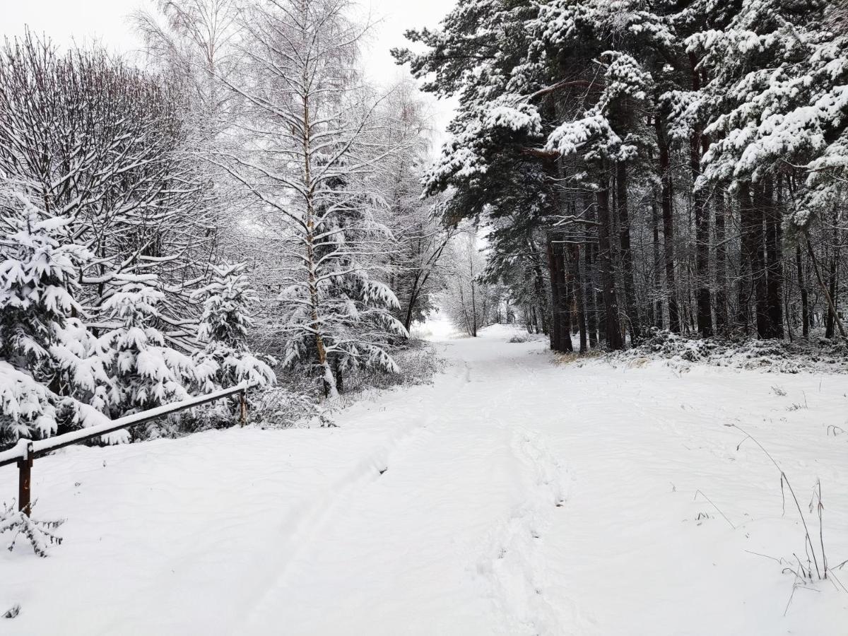 Matějovec 109&Ubytování Na statku Cesky Rudolec Exterior foto